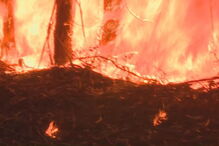 Feridos nos incêndios vão ser indemnizados