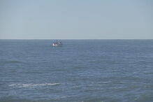 Mulher desaparece após naufrágio no Porto