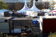 Tigre morto a tiro junto à Torre Eiffel após fugir de circo