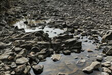 Seca extrema no Algarve 
