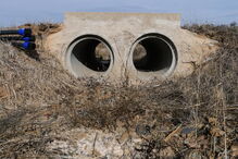 Seca extrema no Algarve deixa região do sotavento interior sem água