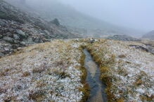 Água voltou a correr na nascente do Douro