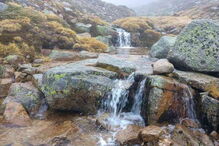Água voltou a correr na nascente do Douro