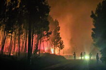 Fogos consumiram vários hectares e causaram prejuízos de milhares de euros