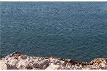 Corpo de mulher em 'elevado estado' de decomposição dá à costa na Figueira da Foz