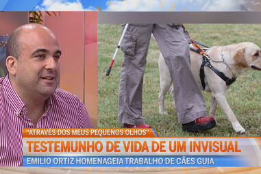 O valor de um cão guia