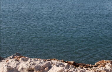 Corpo de mulher em "elevado estado" de decomposição dá à costa na Figueira da Foz