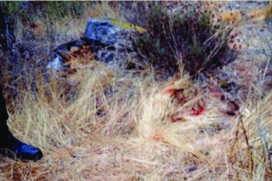 No local onde os corpos foram arrastados ficaram vestígios   