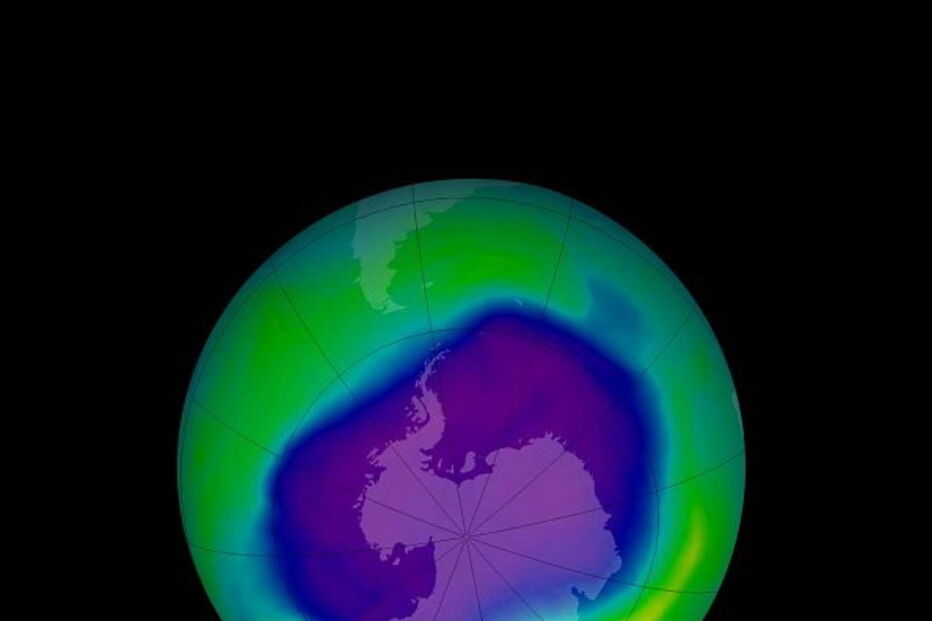 2017-11-03_07_39.07 2006.jpg