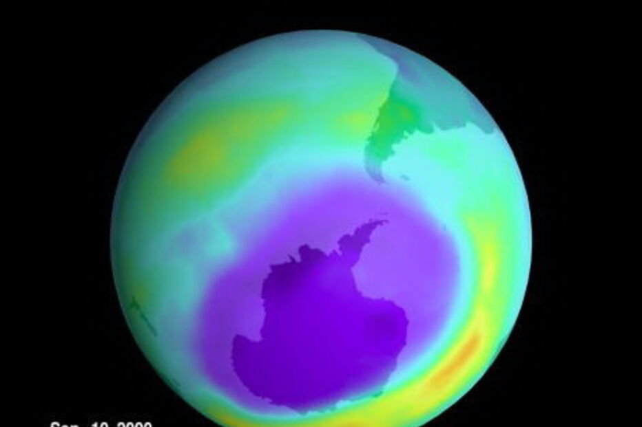 2017-11-03_07_39.08 2000.jpg