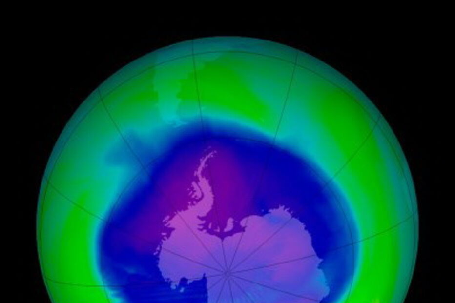 2017-11-03_07_39.08 2005.jpg