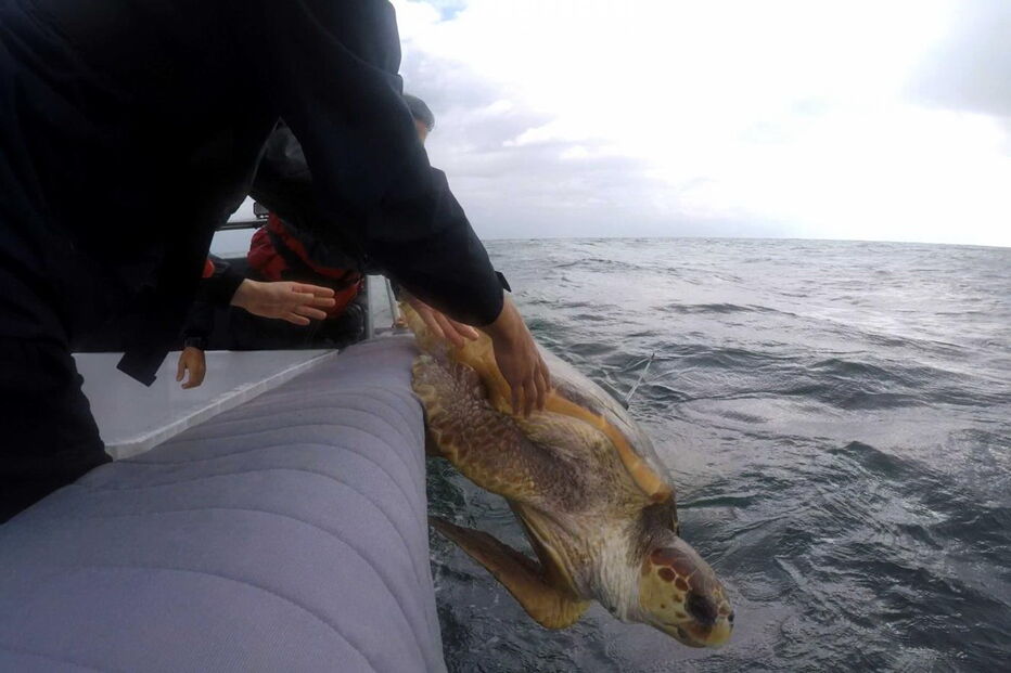 2017-11-06_09_31.33 14931642.JPG