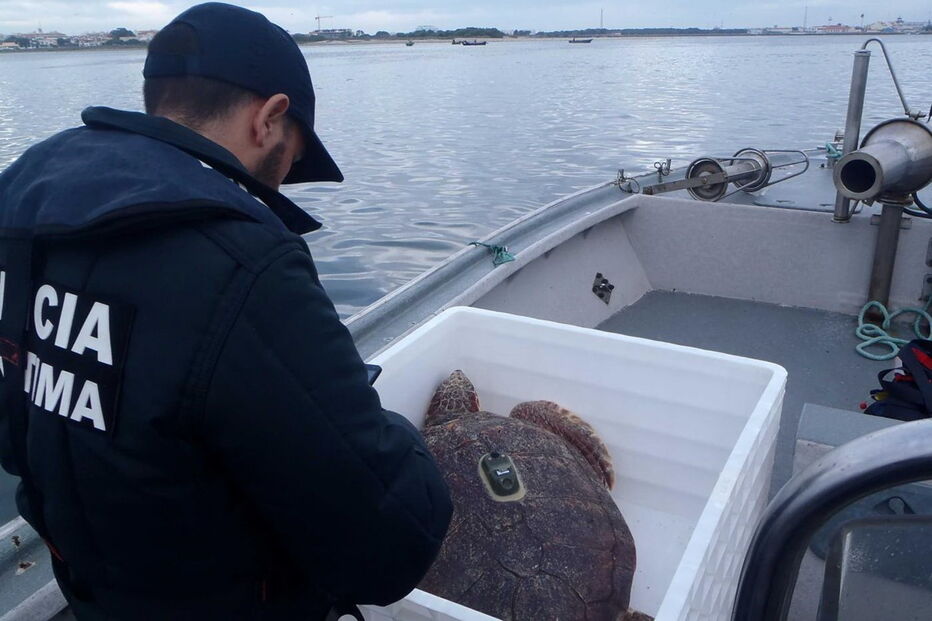 2017-11-06_09_31.33 14931697.JPG