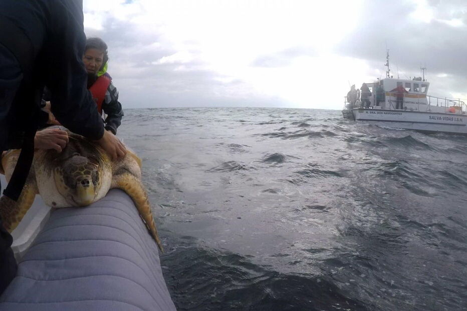 2017-11-06_09_31.34 14931698.JPG