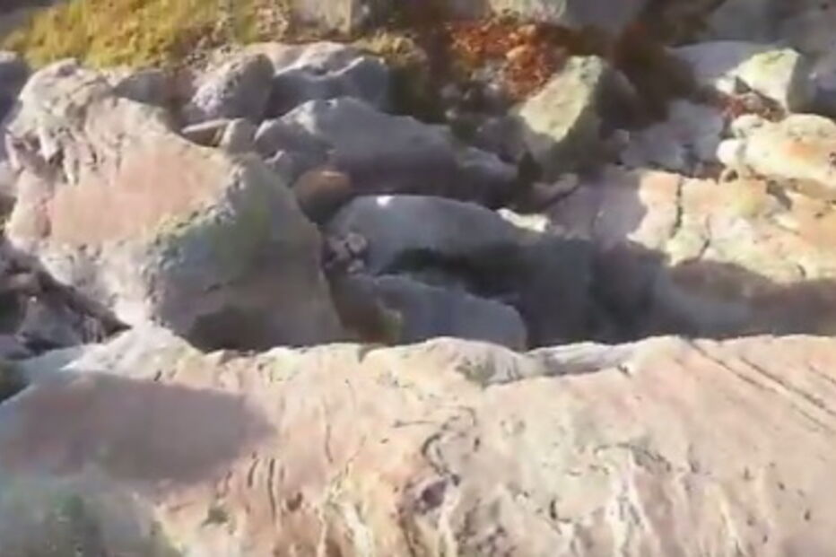 Nascente do Rio Douro está seca, sem uma única gota de água