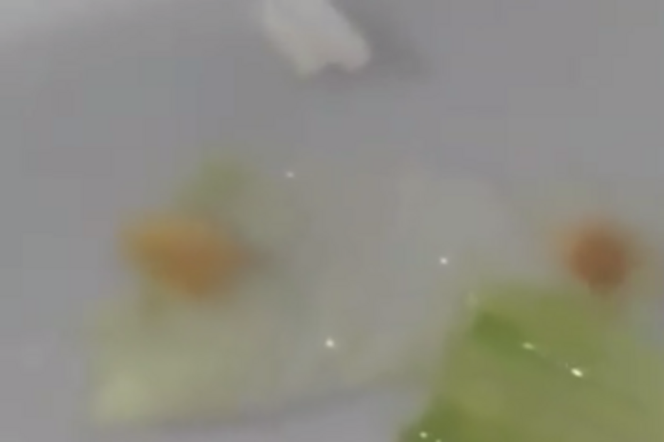 Braga, escola, vídeo, insecto, lagarta, comida, cantina, Escola Básica André Soares