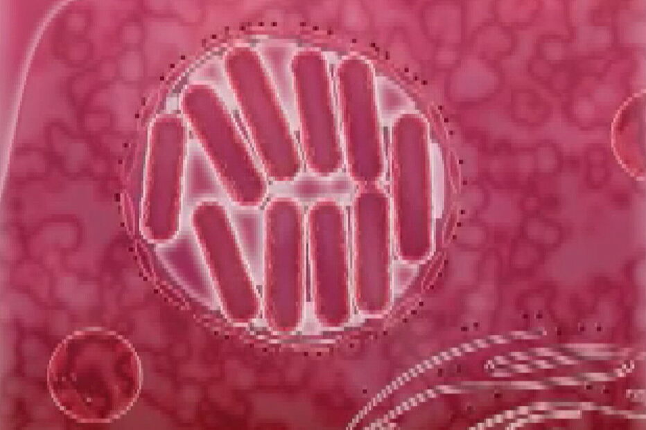 Surto de Legionella pode entrar em fase favorável