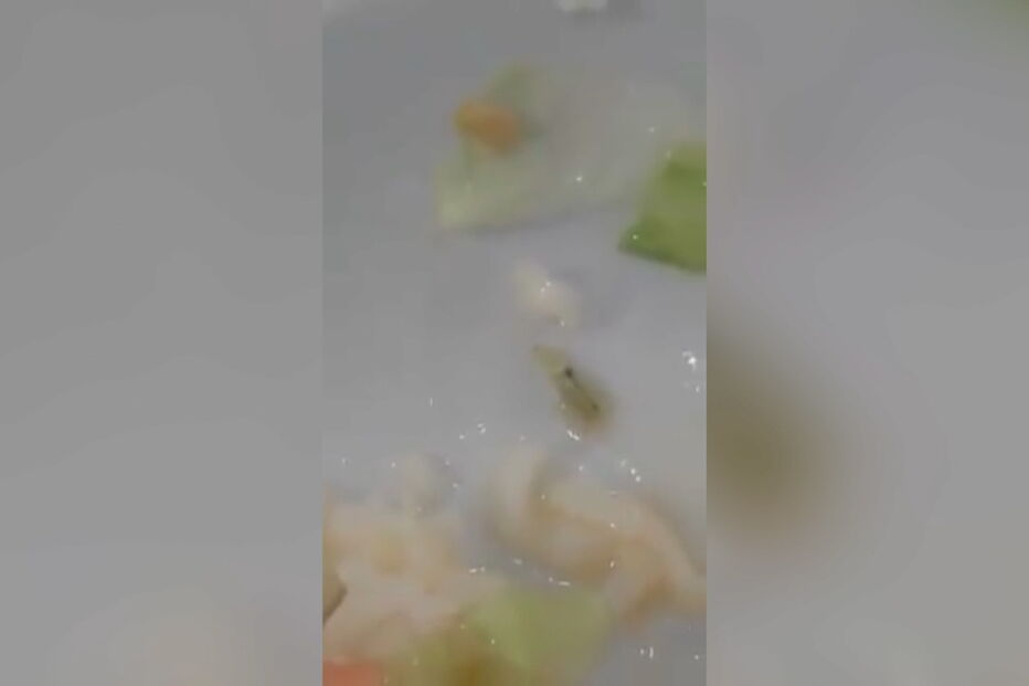 Aluna filma lagarta viva em salada da cantina
