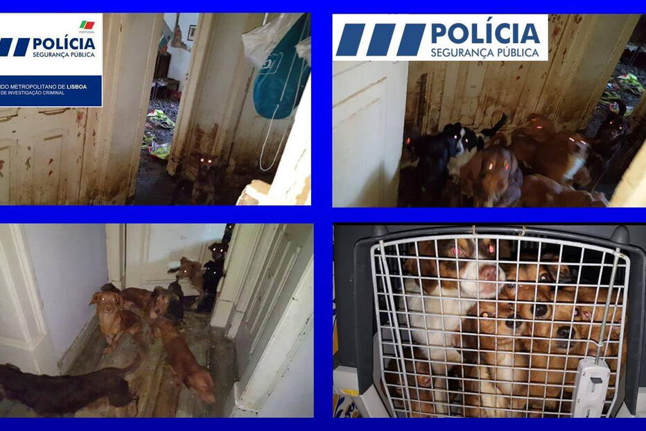 2017-11-08_16_38.37 car.PNG