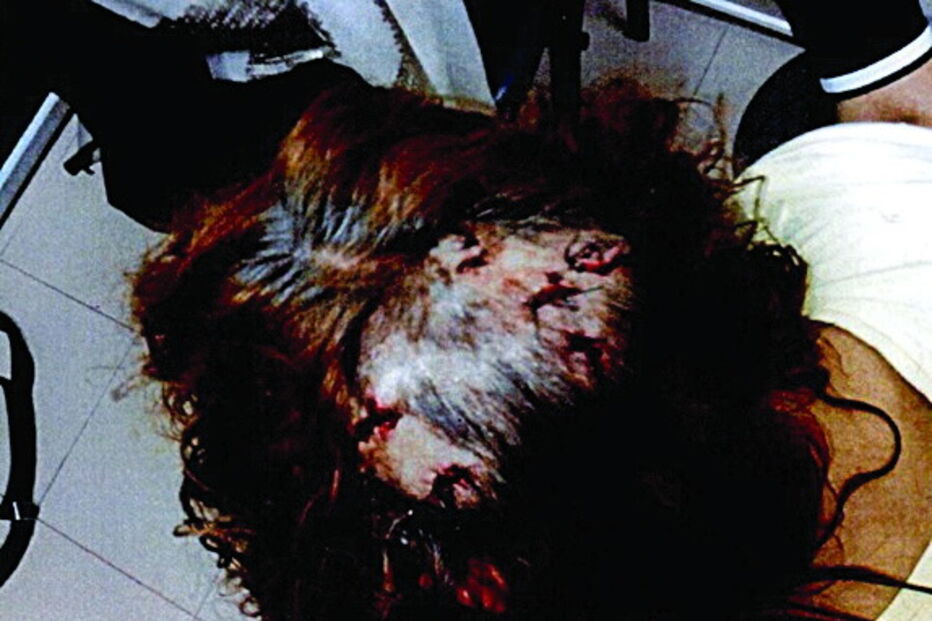 Pedro Dias, Aguiar da Beira, Cadeia de Monsanto, julgamento, vítimas