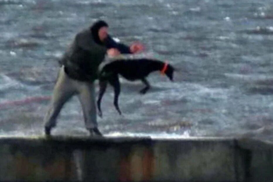 Homens atiram cães para mar gelado 