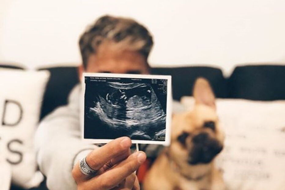 Imagem partilhada por Miguel Cristovinho