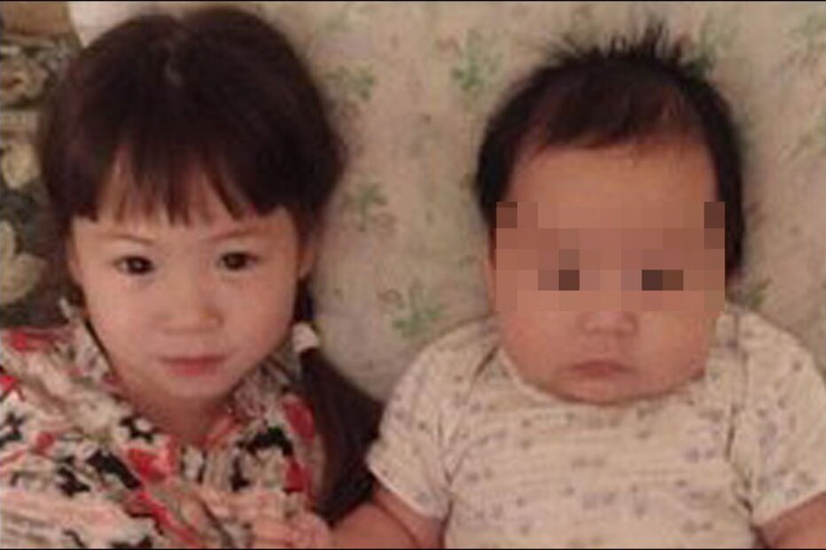 Queda de avião na Rússia matou sete pessoas