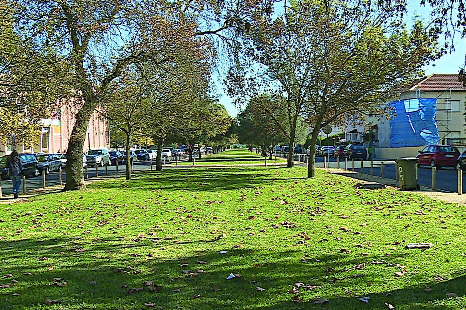 Zona onde ocorreu a morte 
