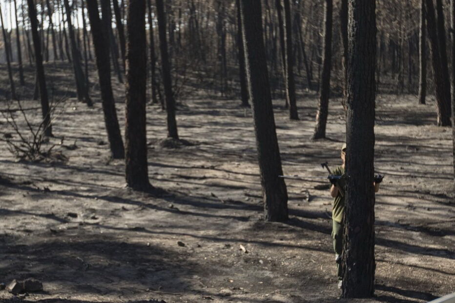 Devastação deixada pelos fogos no Pinhal de Leiria