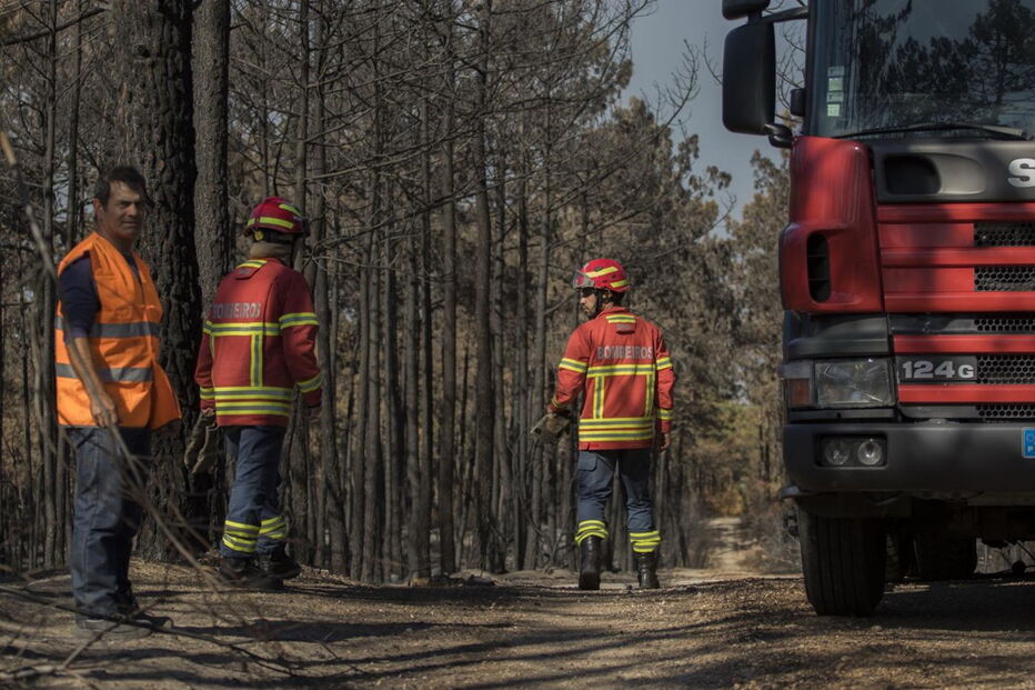 Devastação deixada pelos fogos no Pinhal de Leiria