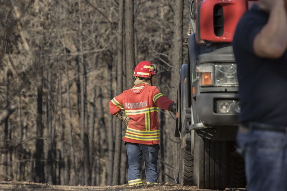 Devastação deixada pelos fogos no Pinhal de Leiria