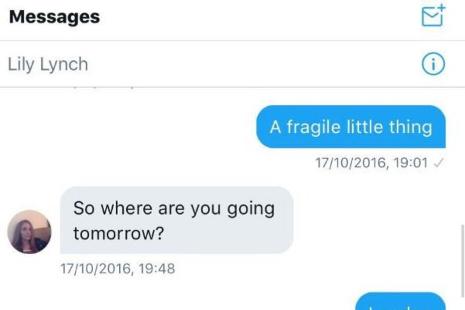 Mensagens trocadas entre Bruno Maçães e a jornalista Lily Lynch