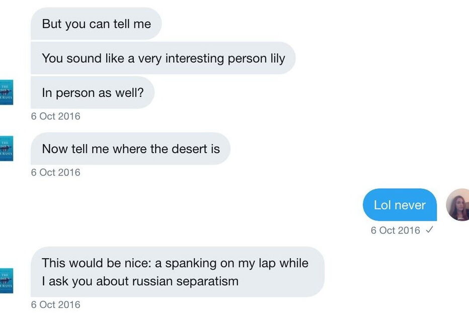  Mensagens trocadas entre Bruno Maçães e a jornalista Lily Lynch