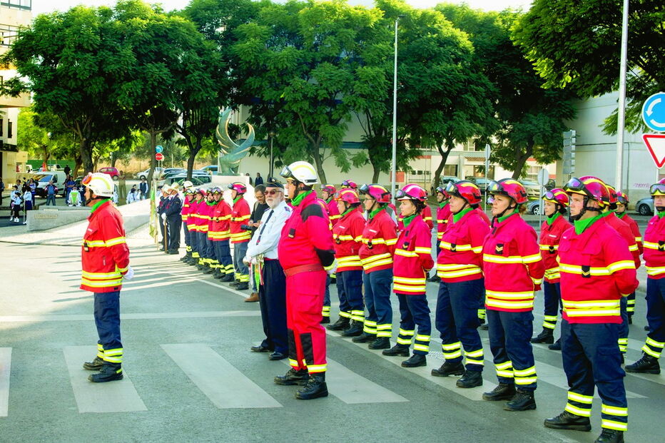 2017-11-19_03_12.21 Imagem alg30a.jpg