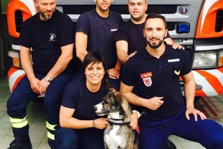 Cadela Nina é figura do calendário dos bombeiros de Viana do Castelo