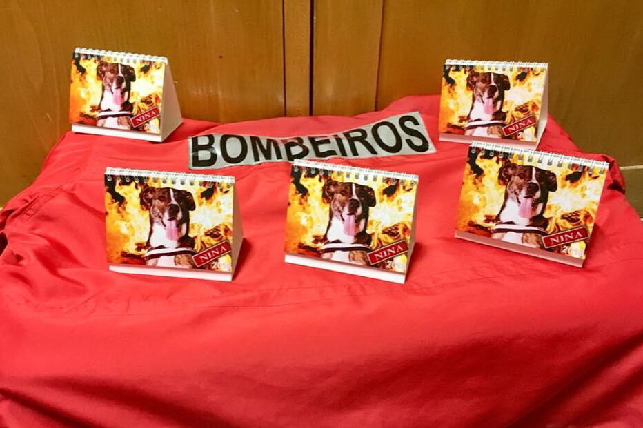 Cadela vive no quartel e é a mascote dos bombeiros. Calendário solidário à venda por 3,5 euros