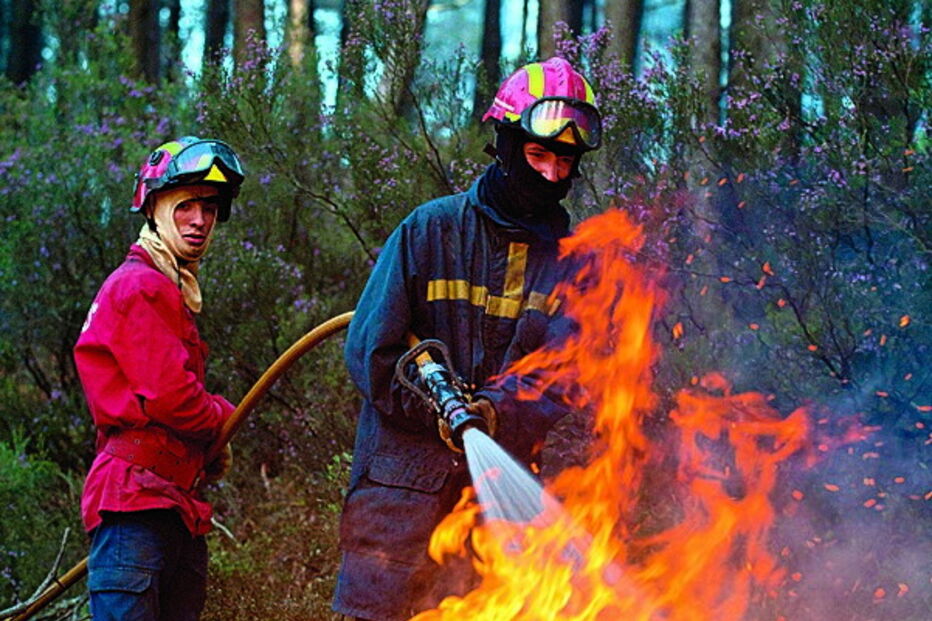 Fogos ateados em áreas florestais 