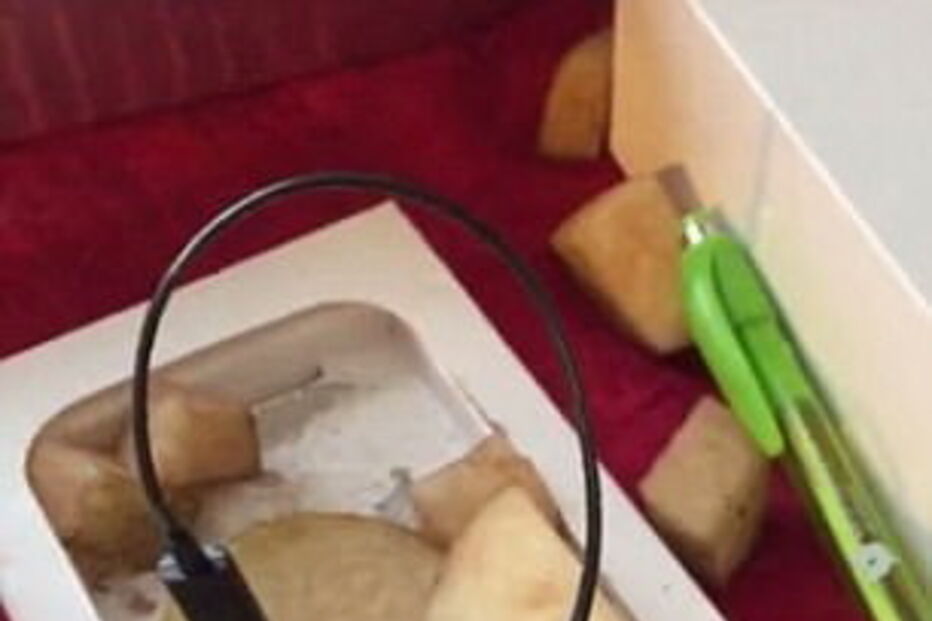 Caixa do iPhone continha pedaços de batata