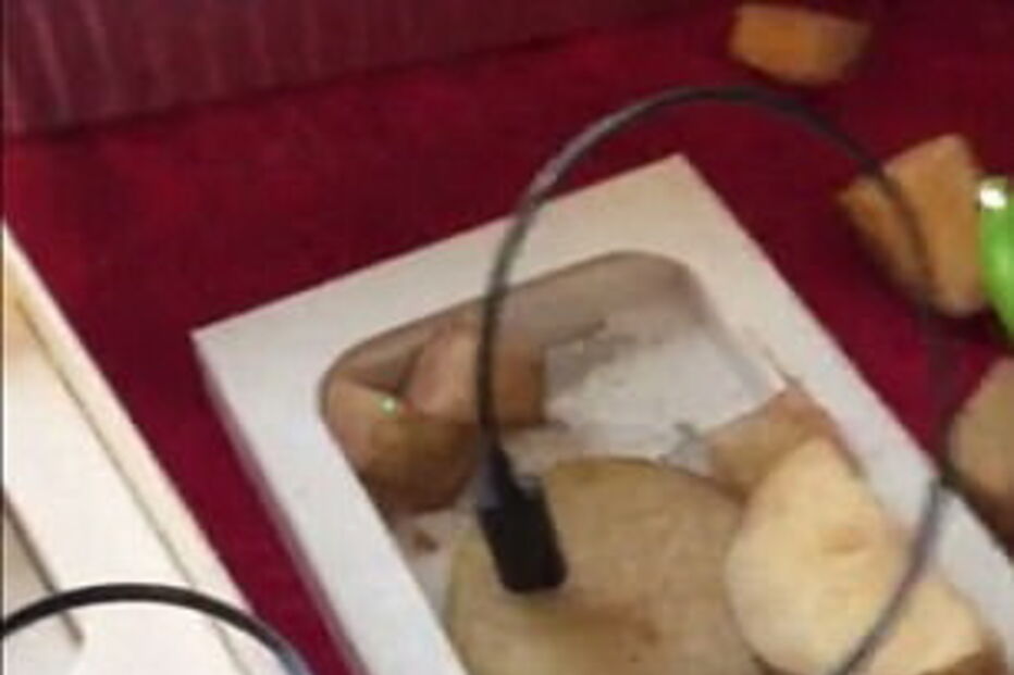 Caixa do iPhone continha pedaços de batata