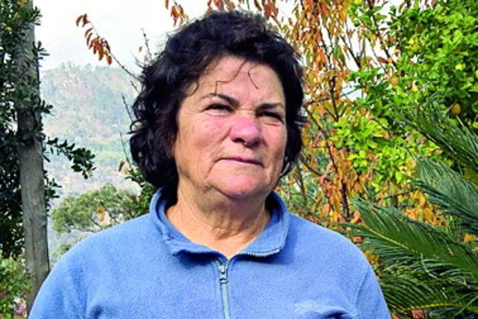 Douro Fénix, discoteca, agressões, viseu, cinfães, seguranças