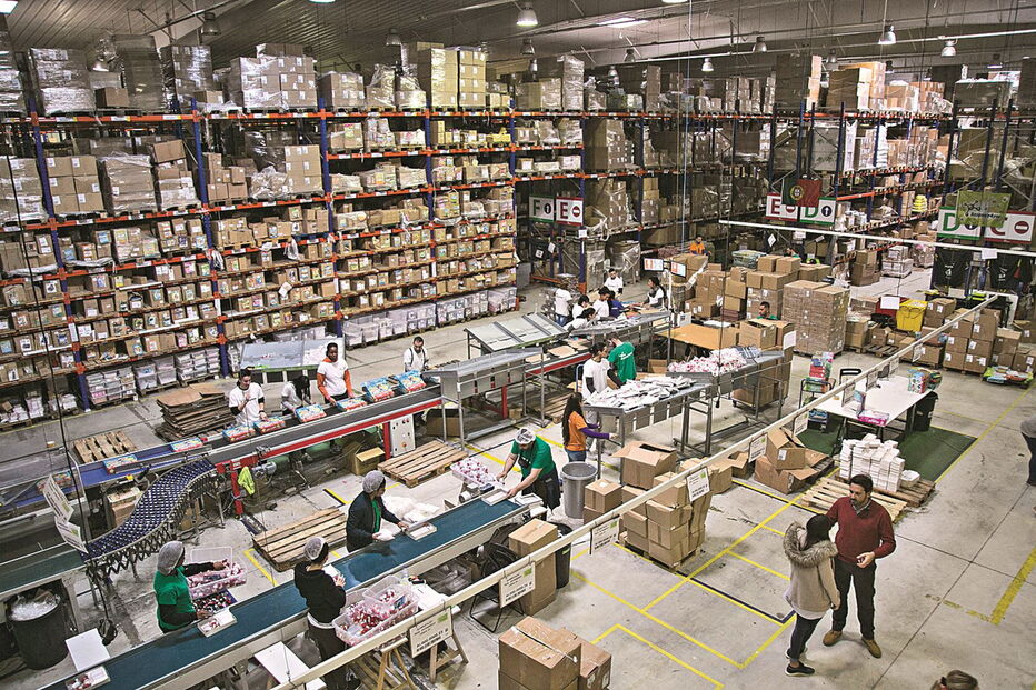 salário, privado, janeiro, orçamento de estado, trabalhador, salário mínimo, parlamento