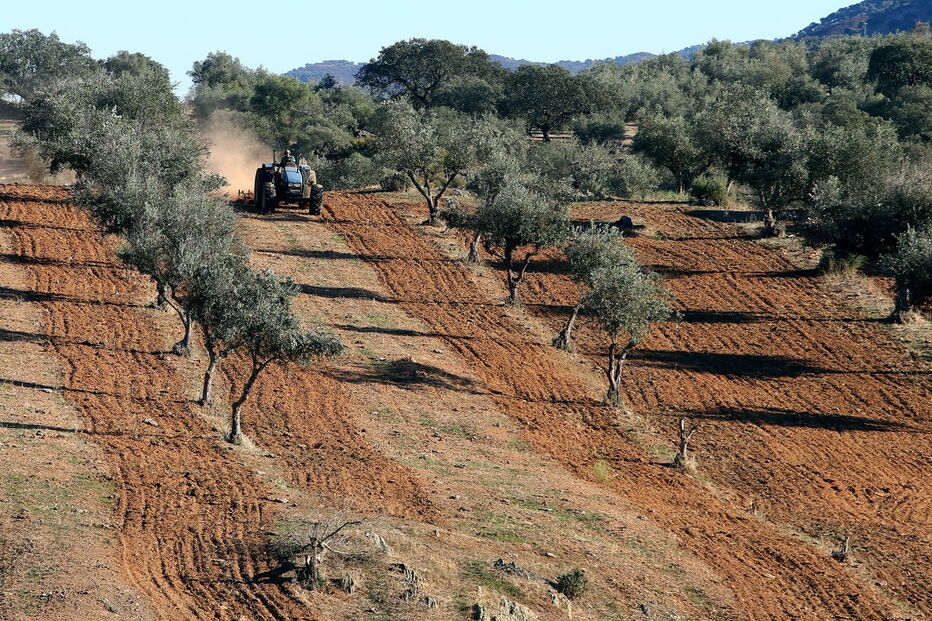 A seca extrema atingiu mais de 75% do território nacional. Retratos de zonas afetadas pela voz de quem depende da Natureza para sobreviver.