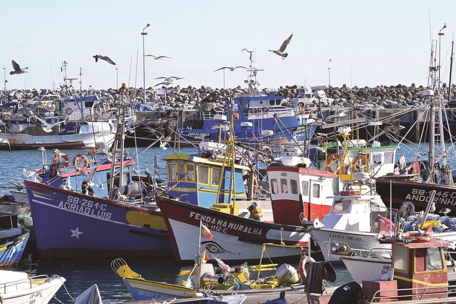 Frota da sardinha está parada em todo o País. Portaria do Governo vai compensar a falta de rendimento de pescadores 