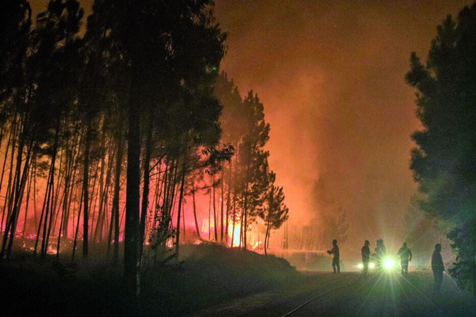 Fogos consumiram vários hectares e causaram prejuízos de milhares de euros