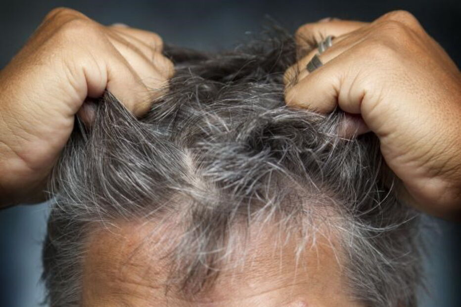 Zé Pedro tinha 61 anos