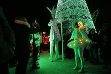 Árvore de Natal de Lisboa tem 30 metros   