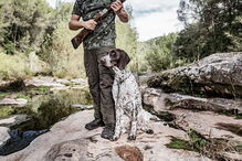 Cão disparou arma por acidente