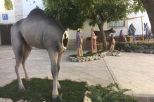 Imagens do presépio vandalizado em Santarém