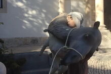 Imagens do presépio vandalizado em Santarém