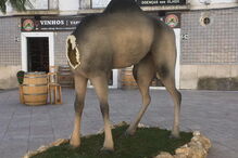Imagens do presépio vandalizado em Santarém